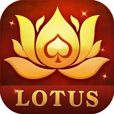 teen patti live 3 patti online poker 160 download